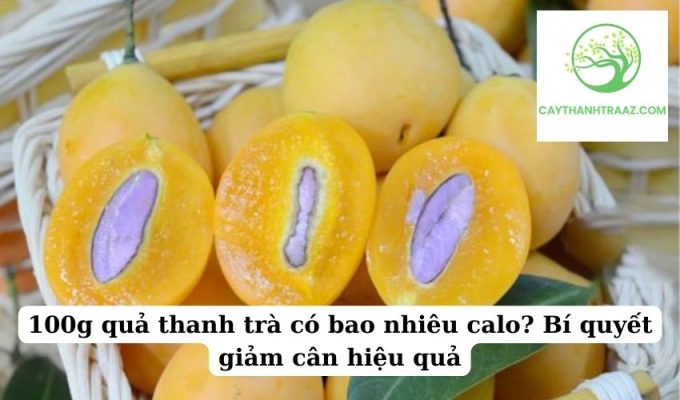 100g quả thanh trà có bao nhiêu calo Bí quyết giảm cân hiệu quả