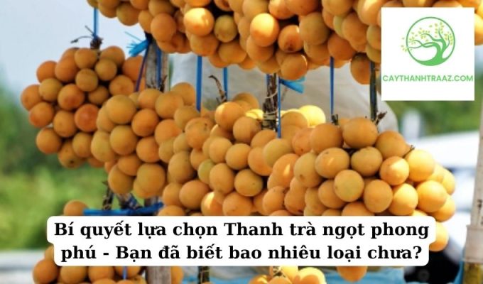 Bí quyết lựa chọn Thanh trà ngọt phong phú - Bạn đã biết bao nhiêu loại chưa