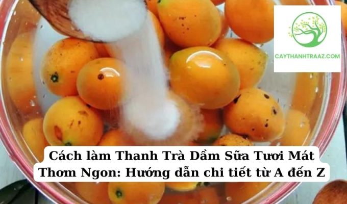 Cách làm Thanh Trà Dầm Sữa Tươi Mát Thơm Ngon Hướng dẫn chi tiết từ A đến Z