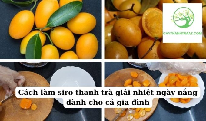 Cách làm siro thanh trà giải nhiệt ngày nắng dành cho cả gia đình