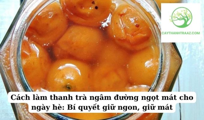 Cách làm thanh trà ngâm đường ngọt mát cho ngày hè Bí quyết giữ ngon, giữ mát