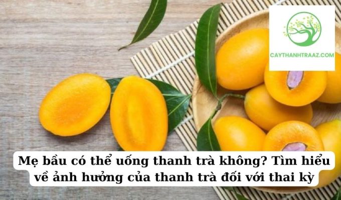 Mẹ bầu có thể uống thanh trà không Tìm hiểu về ảnh hưởng của thanh trà đối với thai kỳ