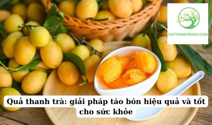 Quả thanh trà giải pháp táo bón hiệu quả và tốt cho sức khỏe