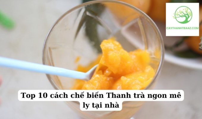 Top 10 cách chế biến Thanh trà ngon mê ly tại nhà